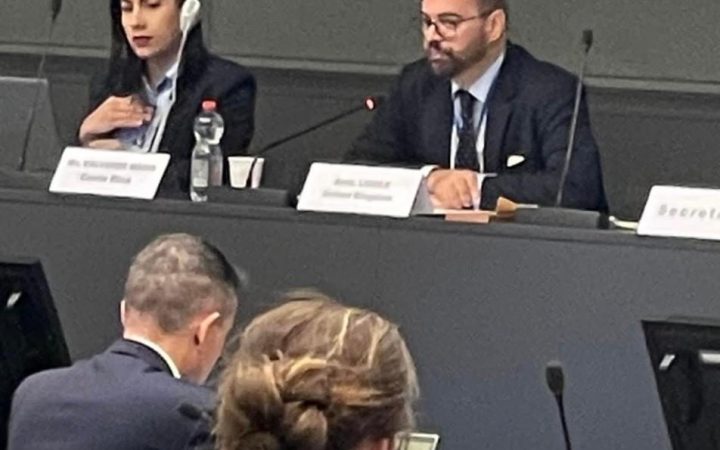 Sewuese Asa representing grassroots voices at an international forum